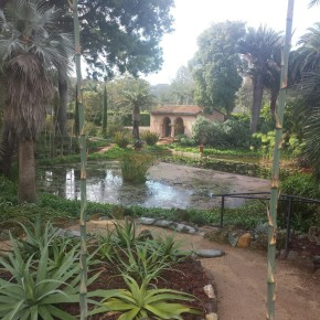 Lotus Land Gardens Pond